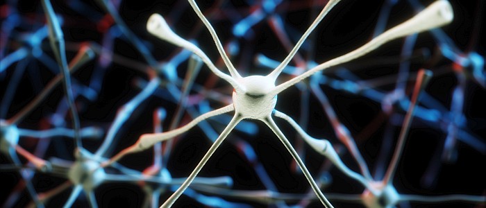 Play Therapy and Brain Function